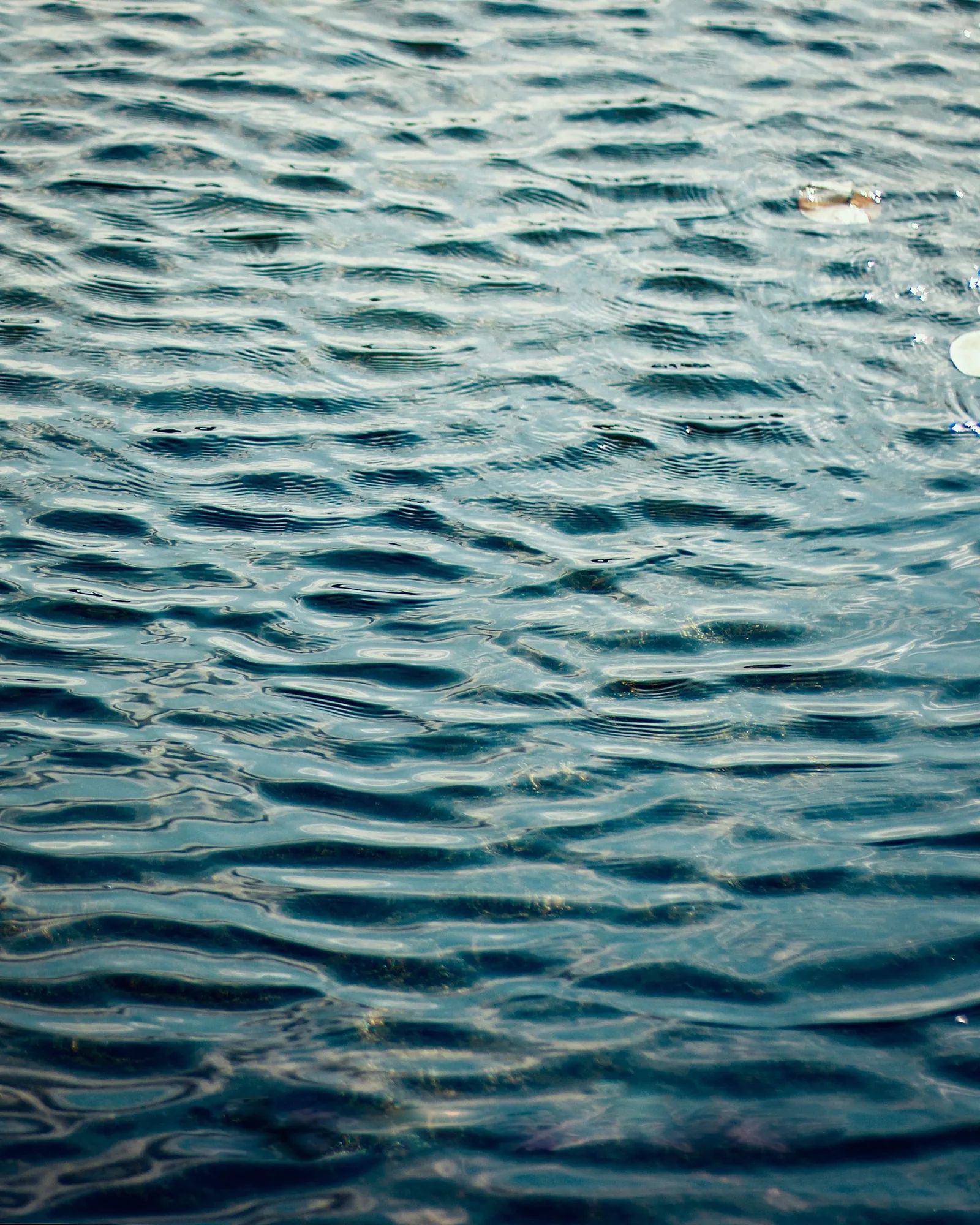 Auga turquesa limpa con ondas